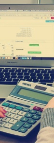 The limits of interactive budget tools